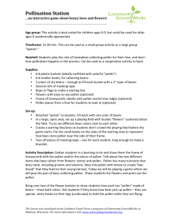 Pollination Station - Community GroundWorks