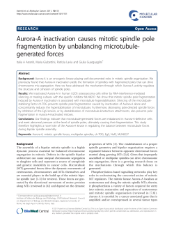 Aurora-A inactivation causes mitotic spindle pole