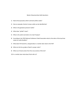 Master Showmanship Cattle Questions 1) Name three parasites