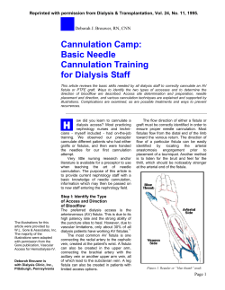 Cannulation Camp: Basic Needle Cannulation Training for Dialysis