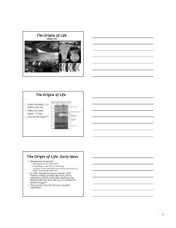 The Origin of Life - UNE Faculty/Staff Index Page
