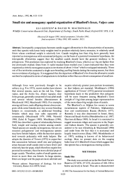Small size and monogamy: spatial organization of Blanford`s foxes