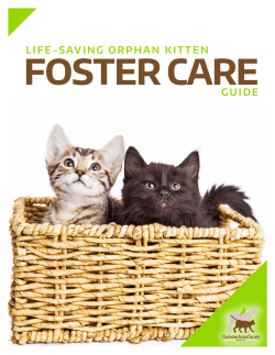 CAS Kitten Foster Manual