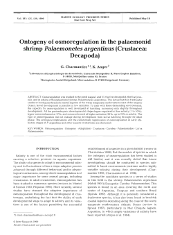 Full text in pdf format