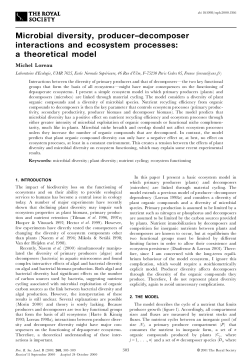 Microbial diversity, producer-decomposer interactions and