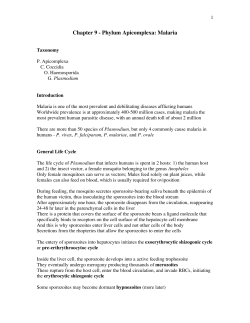 Chapter 9 - Phylum Apicomplexa: Malaria