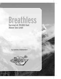 Survival at 29000 Feet Above Sea Level - Project 3D-VIEW
