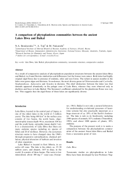 A comparison of phytoplankton communities between the ancient