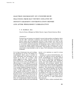 electron microscopy of lysosome-rich fractions from rat thymus