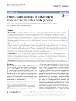 Fitness consequences of polymorphic inversions in the zebra finch