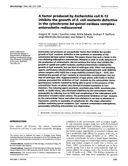 A factor produced by Escherichia coli K-12 inhibits