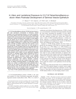 In Utero and Lactational Exposure to 2,3,7,8-Tetrachlorodibenzo