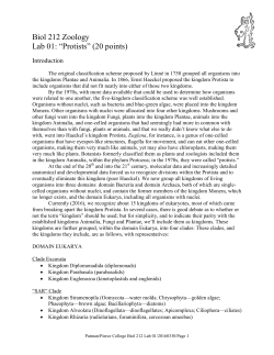 Biol 212 Zoology Lab 01: &ldquo;Protists&rdquo; (20 points)