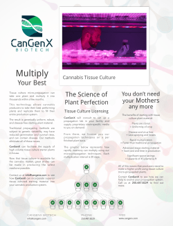 CanGenX Info Sheet Cannabis Tissue Culture