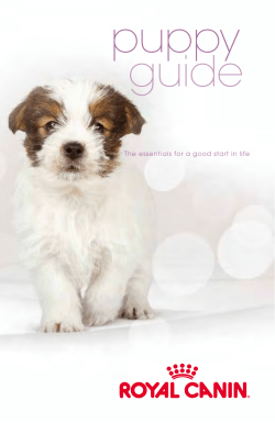 puppy guide - Shake A Paw