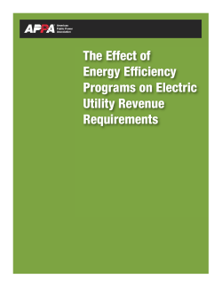 The Effect of Energy Efficiency Programs on Electric Utility Revenue