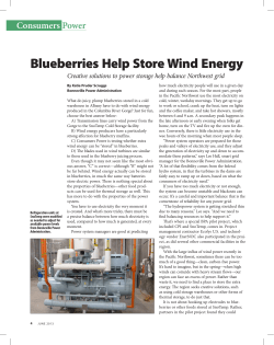 Blueberries Help Store Wind Energy