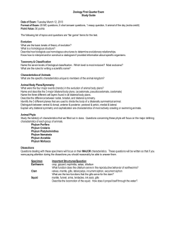 1st Quarter Exam Study Guide