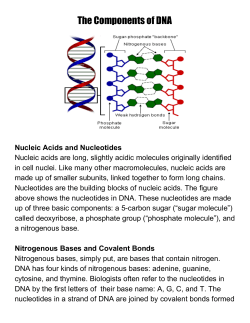 dna structure stations