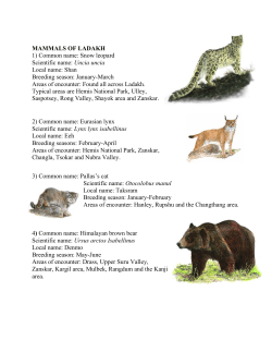 MAMMALS OF LADAKH 1) Common name: Snow leopard Scientific