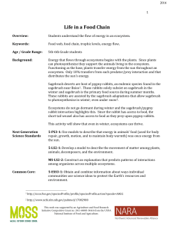 Life in a Food Chain