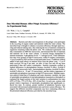 Does Microbial Biomass Affect Pelagic Ecosystem Efficiency? An