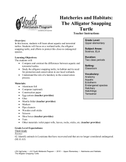 The Alligator Snapping Turtle