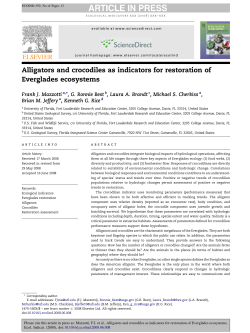 Alligators and crocodiles as indicators for restoration