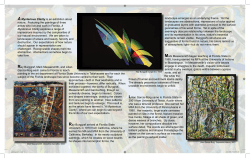 Mysterious Clarity&rdquo; gallery guide - Lilian Garcia-Roig