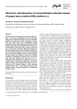 Structure and dynamics of reconstituted cuticular