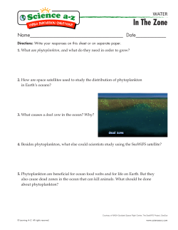 Discussion Questions