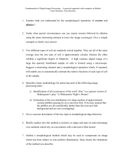 Explain what you understand by the morphological