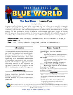 The Real Nemo &bull; Lesson Plan - Jonathan Bird`s Blue World