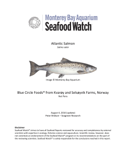 Blue Circle Foods® Atlantic Salmon Seafood Watch Report