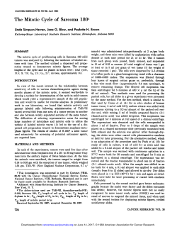 The Mitotic Cycle of Sarcoma 1801