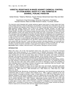 Maize (Zea mays), one of the most important cereal crop, was grown