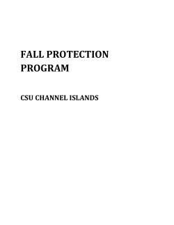 160520_CI Fall Protection Program