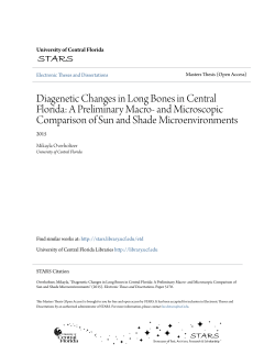 Diagenetic Changes in Long Bones in Central Florida