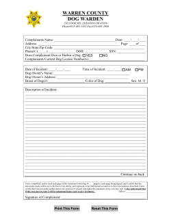 Witness Statement Form