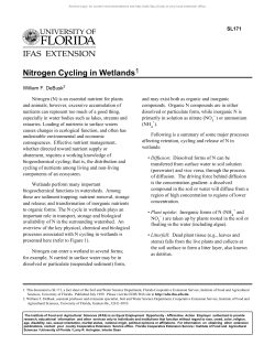 Nitrogen Cycling in Wetlands1