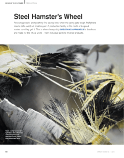 Steel Hamster`s Wheel
