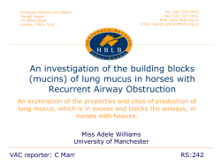An investigation of the building blocks (mucins) of lung mucus in
