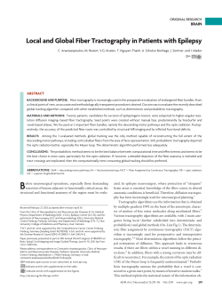 Local and Global Fiber Tractography in Patients with Epilepsy