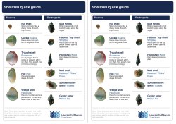Shellfish quick guide Shellfish quick guide