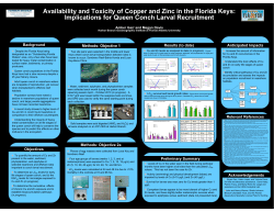 Availability and Toxicity of Copper and Zinc in the Florida Keys