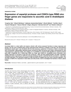 jxb.oxfordjournals.org