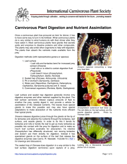 Carnivorous Plant Digestion and Nutrient Assimilation