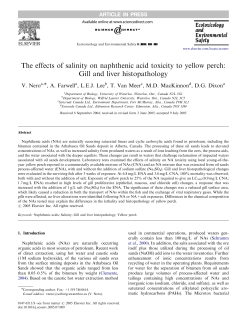 The effects of salinity on naphthenic acid toxicity to yellow perch: Gill