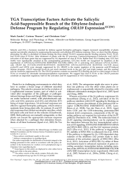 TGA Transcription Factors Activate the Salicylic
