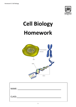 Unit 1 Cell Biology_hwk [pdf 1MB]